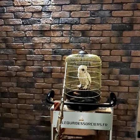 Le Quai Des Sorciers 15 Minutes De Lille Apartment